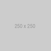 C4 & C2DS Wire Storage Dividers, D2 Green, Filstorage