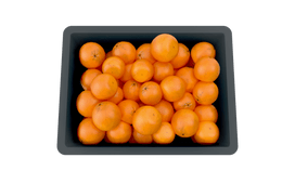 Euro Stacking Container 120mm H x 299mm W x 399mm D, 1, Filstorage
